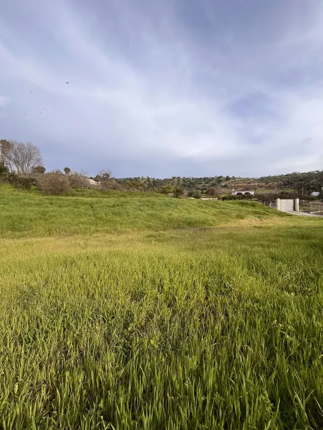 Parcela en venta - South of spain — 10