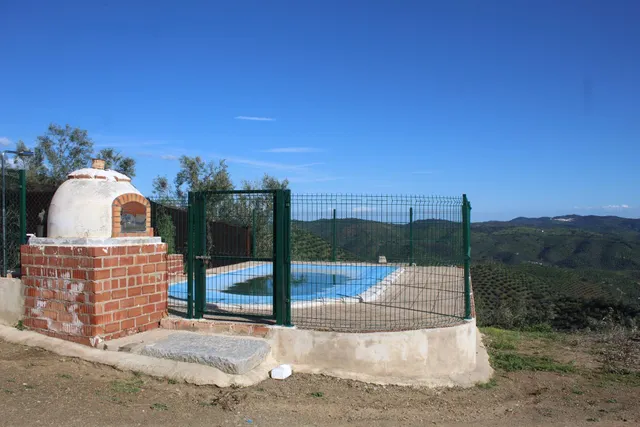 MAGNIFICO OLIVAR CON CASA, COCHERA PARA APEROS Y PISCINA ENTRE VILLAHARTA Y POZOBLANCO. — 6
