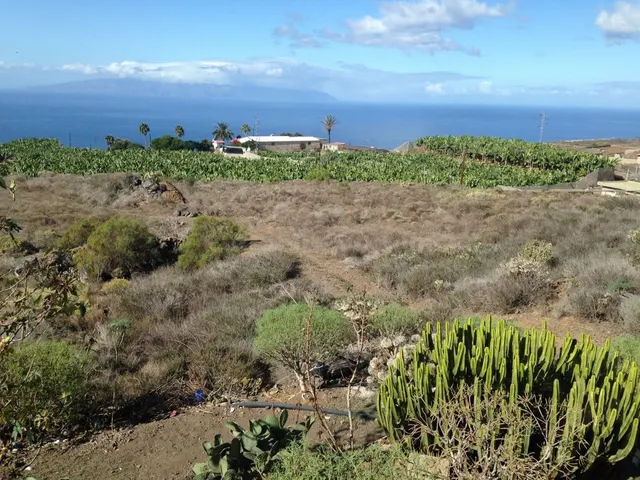 Venta de terreno agrícola ganadero - foto 4