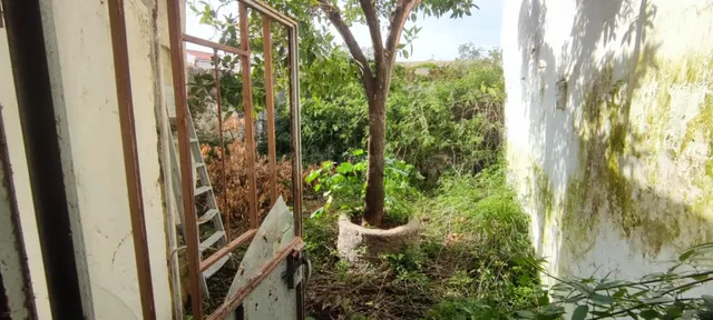 ¡¡Enorme casa con gran patio!! - foto 3