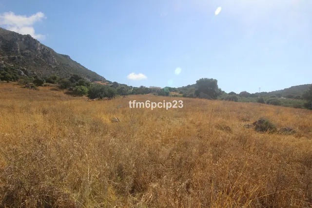 Finca rústica de 37.570 m² en Casares, Costa del Sol — 9