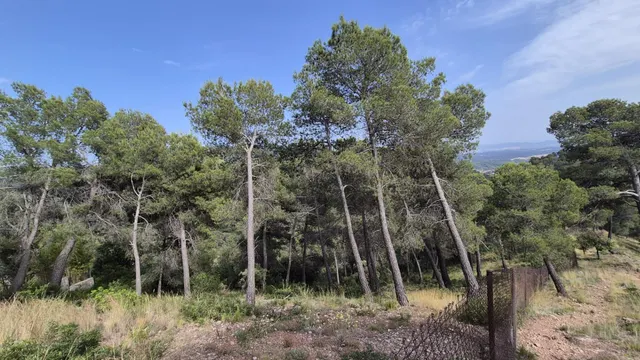 Terreny en venda a Sant Feliu del Racó – Entorn natural i vistes excepcionals — 8