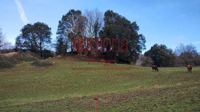 CASA DE PIEDRA CON AMPLIA PARCELA. ESCOBEDO DE VILLAFUFRE. — 36