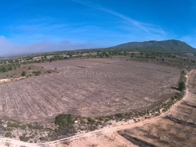 Parcela en venta - Yecla - foto 4