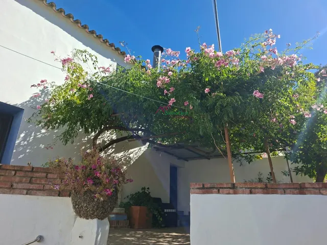 VENTA CASA ESTILO RÚSTICA CON TERRENO.BENAMAHOMA. - foto 4