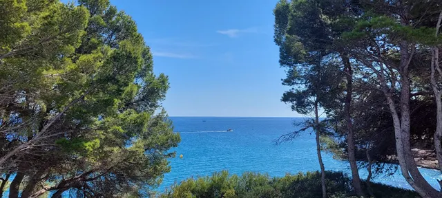 Chalet en venta en Les Tres Cales — 30