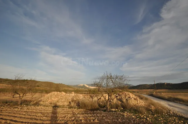 Parcela en venta - Abanilla - foto 5