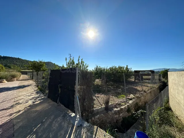 Parcela en la Huerta Abajo, el Planell, de 992 m2 hoy huerta - foto 3