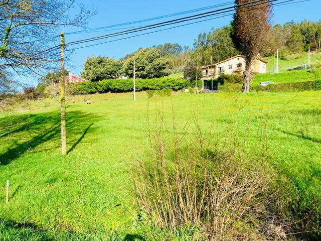 Parcela en venta - Carreño