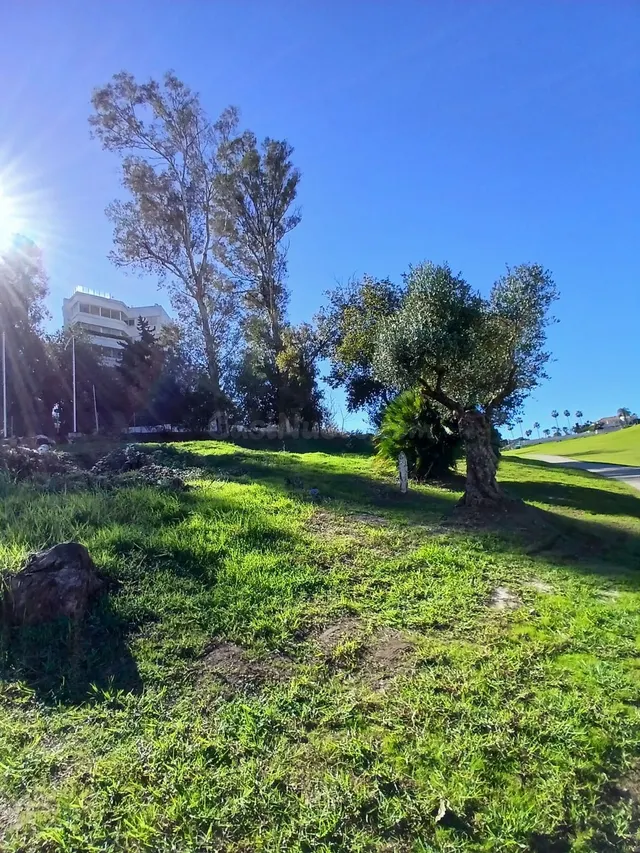 Terreno edificable con licencia en Guadalmina Marbella — 4