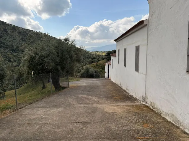 Finca rústica de 26 ha con 3.000 olivos ecológicos, cortijos y alta producción. — 18