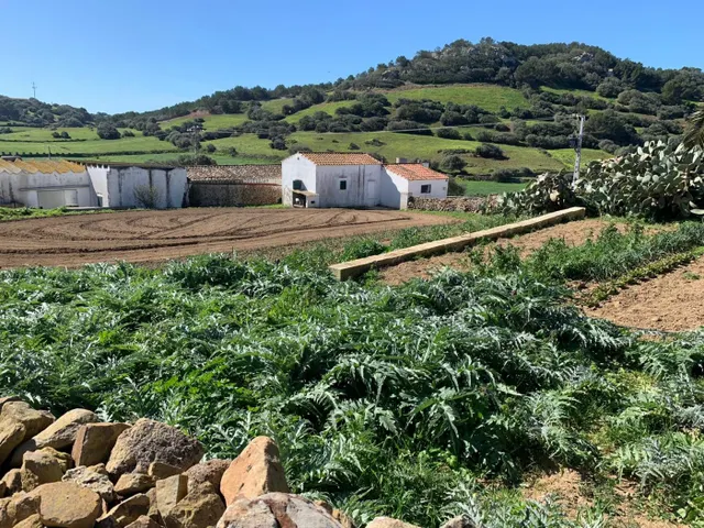 C-7047 - Casa de Campo en Ciutadella — 29