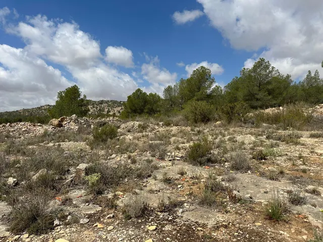 Casa de campo en una parcela de 10600 metros — 17