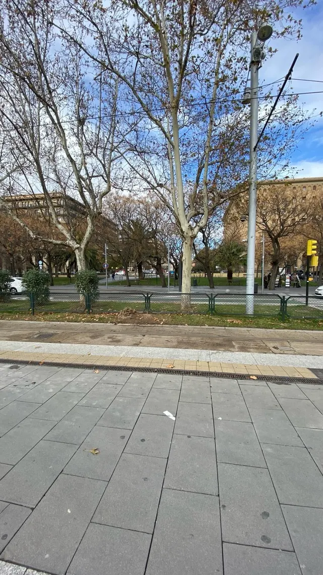 Sector Universidad — 31