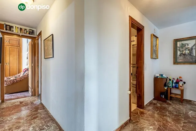 Pisazo en paseo del salón - Granada — 34