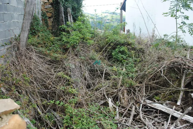 Se vende terreno con proyecto para construir una casa - foto 5