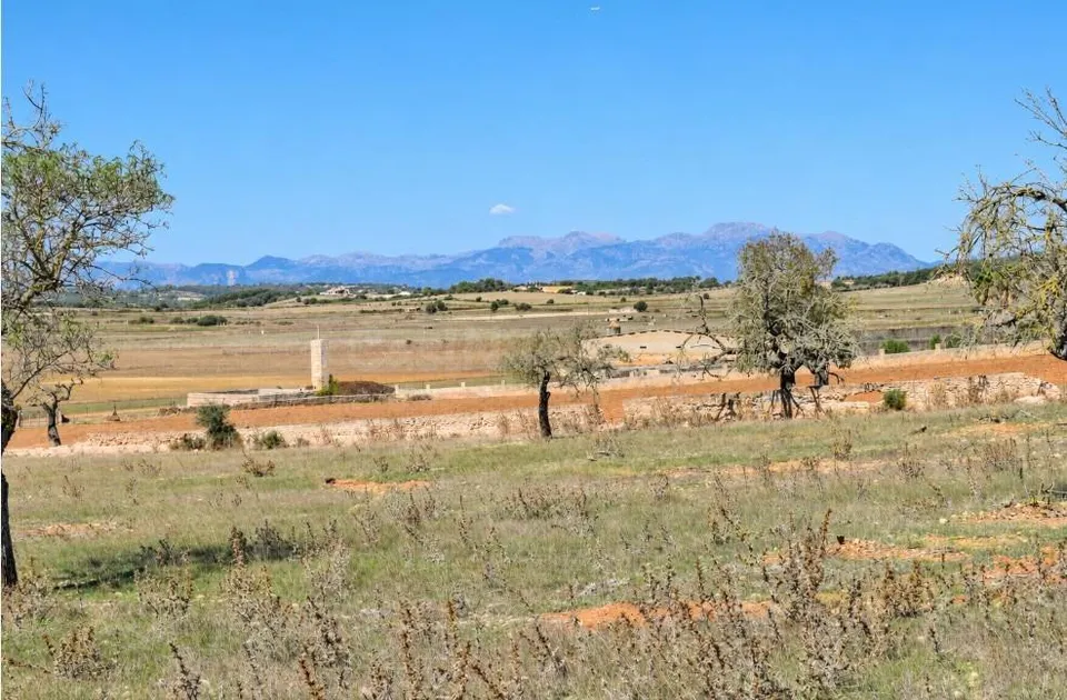 Finca rústica con posibilidad de vivienda en Ariany