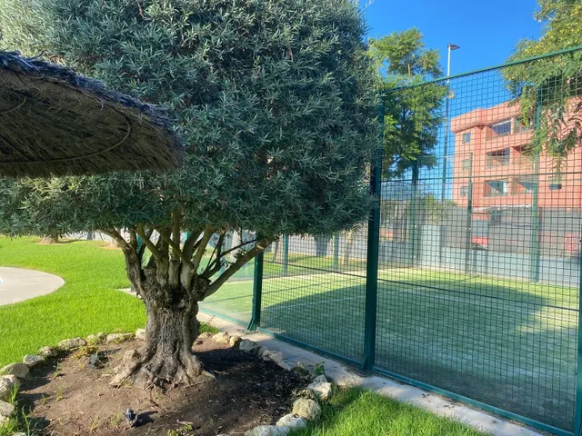 Gran piso en la zona de bajo de guia¡¡¡¡¡ — 24
