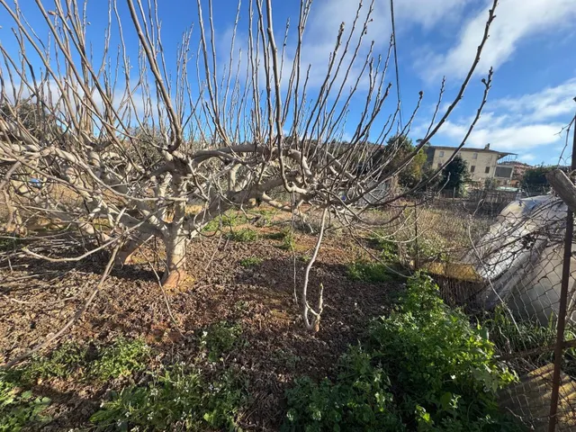 TERRENO EN MANRESA - foto 5