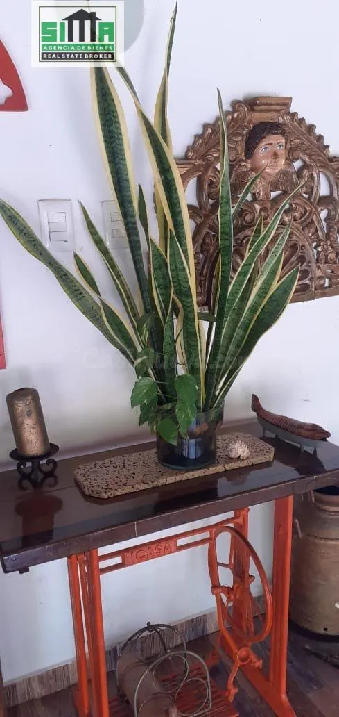 Venta de cabaña Ubicado en Barú — 2