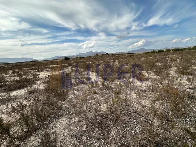 FINCA RUSTICA EN VERDEGAS AGOST 14.971 EN EL CAMPET - foto 3