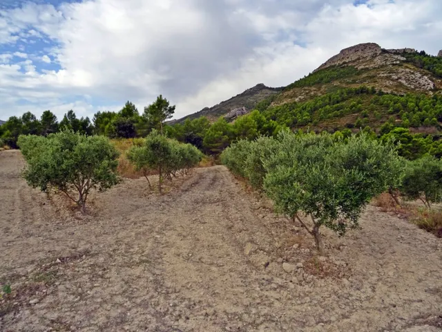 Bodega en venta en Jalon — 21