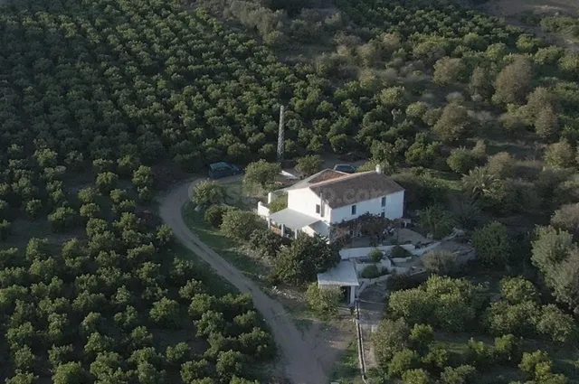 Fincas de Regadío en ÁLORA - foto 3