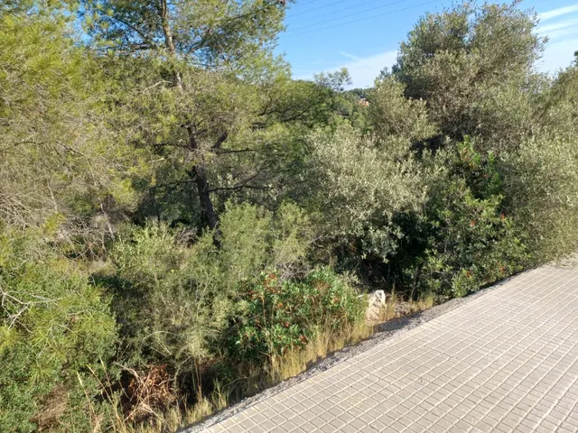 Terreno urbano edificable en venta de 1287 m2 en CASTELLET I LA GORNAL — 7