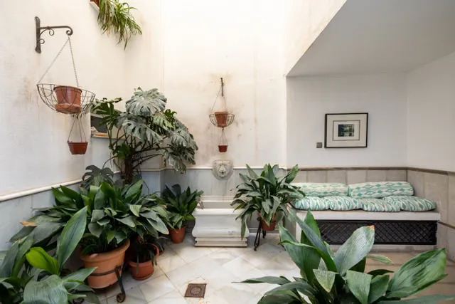 FANTASTICA CASA EN PLAZA DE LOS LOBOS — 50
