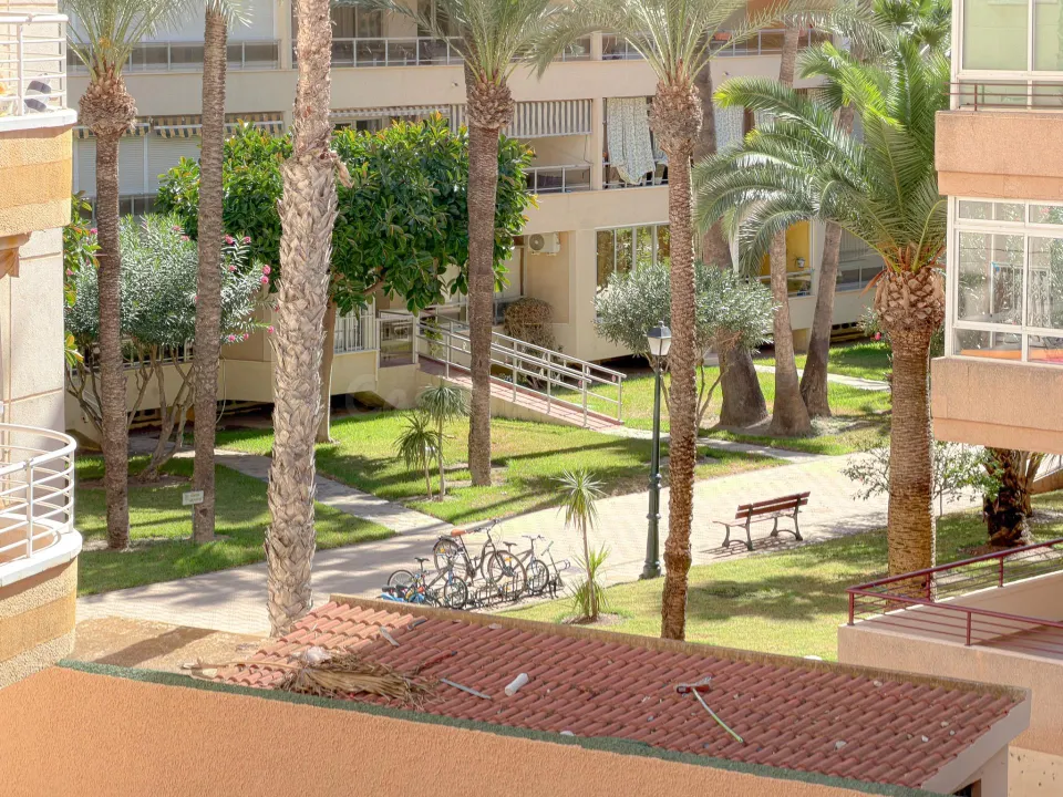 Playa de los Locos! Amplio apartamento (Año 2007) con terraza grande y vistas al palmeral ( 220 mts playa)