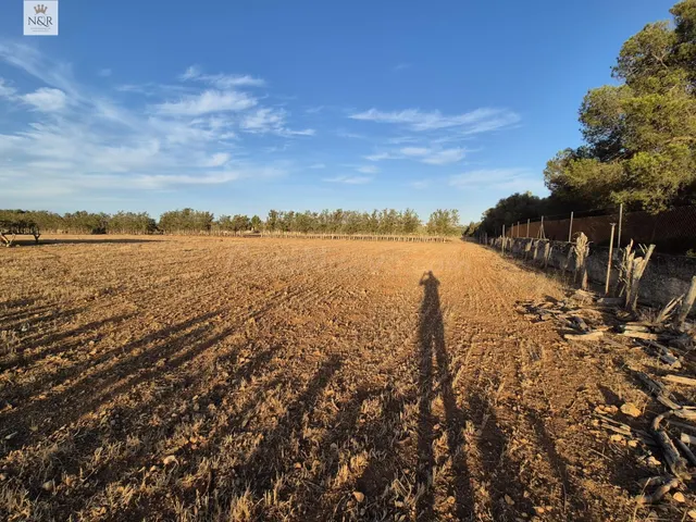 FINCA EDIFICABLE EN MURO CON AGUA - foto 3