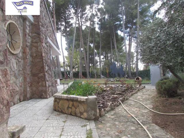 CHALET CON 2000 M2 DE PARCELA — 29