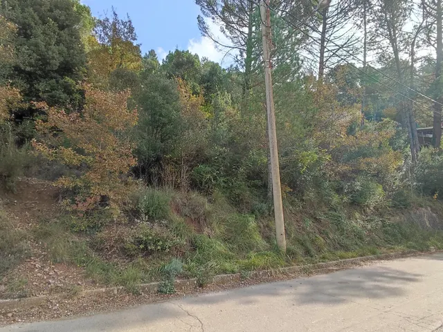 TERRENO EN VENTA EN LA URBANIZACION MASIA DEL SOLÀ (FINCA RUSTICA) MONISTROL DE CALDERS — 7