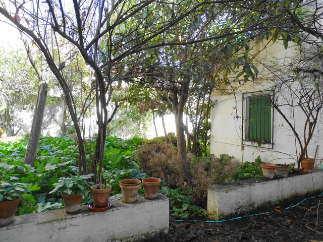 CASA DE PUEBLO EN LA ZUBIA - foto 4