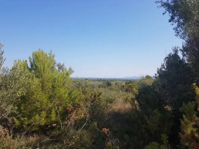 Bonita finca con vistas al mar, ideal para construir una viv - foto 4