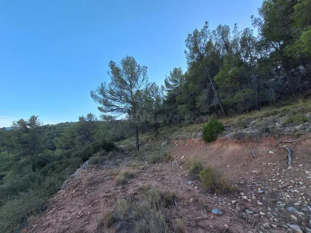 Finca rústica forestal en venta con vistas panoramicas · Castalla (Alicante) — 4