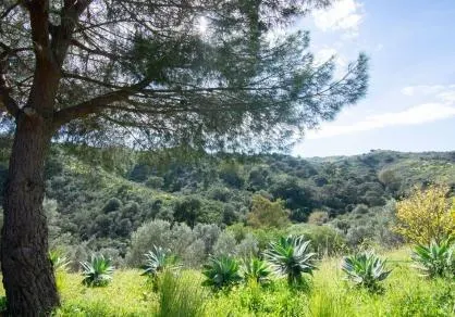 Encantadora finca ecuestre con vistas a la montaña en La Cala Golf, Mijas Costa — 15