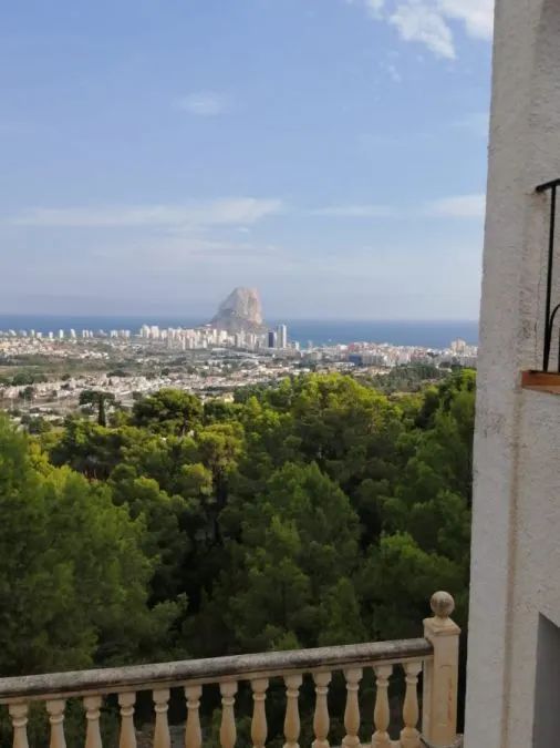 Parcela 18000m² en venta - Oltamar-Cucarres - foto 5