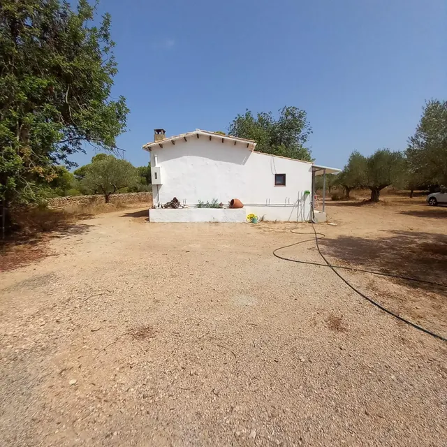 Finca rústica con casa de campo reformada, olivos, algarrobos y caravana, cerca de Tortosa — 4