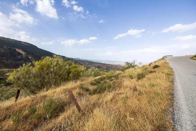En Venta Maravilloso Paraje Natural, a medio camino entre Granada y Sierra Nevada, a veinte minutos en coche, desde cada una de ellas. — 12
