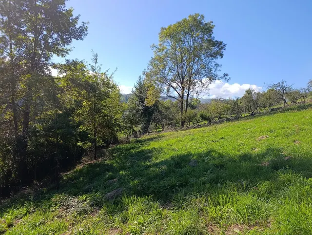 Terreno urbano en venta - Trubia — 17