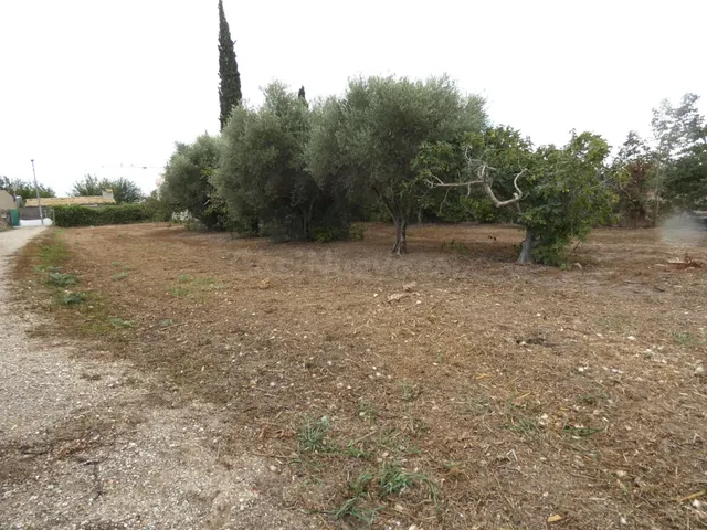 +Oportunidad Única: Casa para Reformar en Entorno Rural y Ec - foto 5