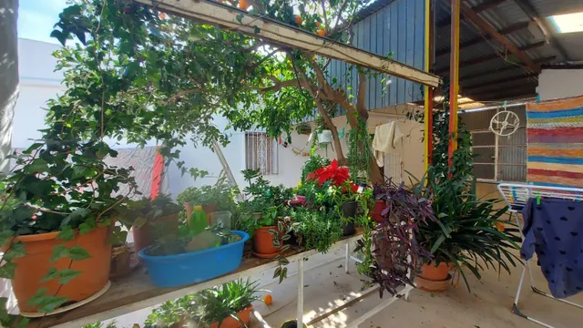 Invernadero en la Puebla de Vicar — 19