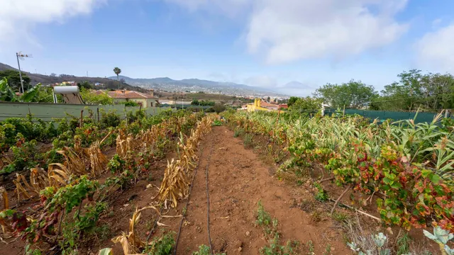 Terreno urbano en Tacoronte. — 23