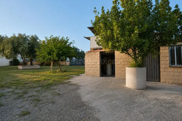 3 CASAS INDEPENDIENTES EN LA MISMA FINCA (PELIGROS) - foto 2