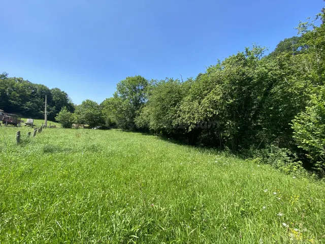 VENTA DE FINCA EN LLENIN - foto 3