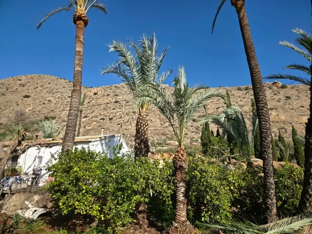 Casa con Piscina Privada y Amplias Posibilidades de Ampliación en Orihuela — 47