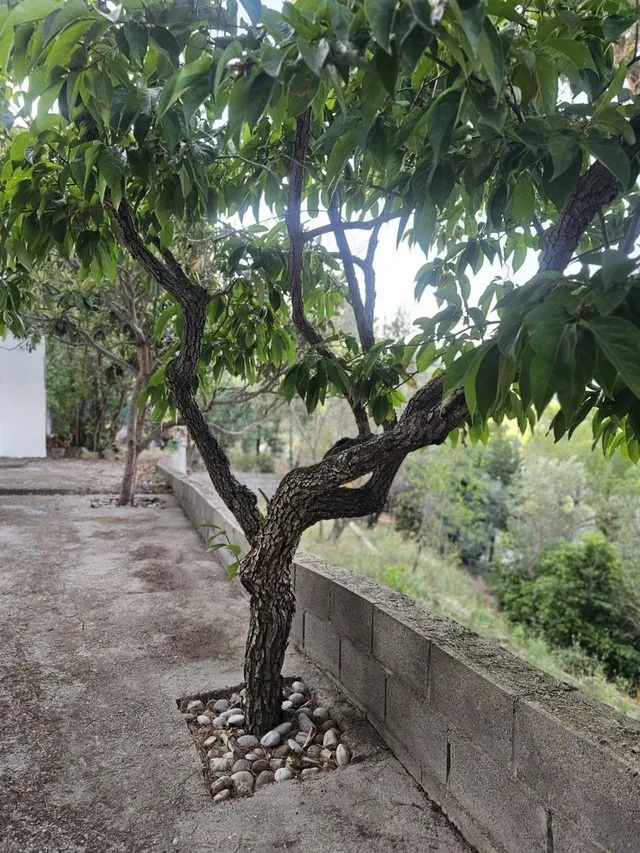 Casa Independiente en Venta en Can Vinyals - foto 4