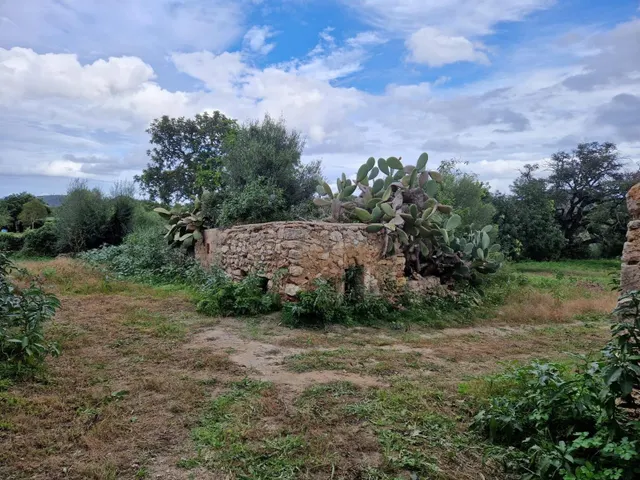 Finca mallorquina de finales del siglo XIX con rehabilitació - foto 3