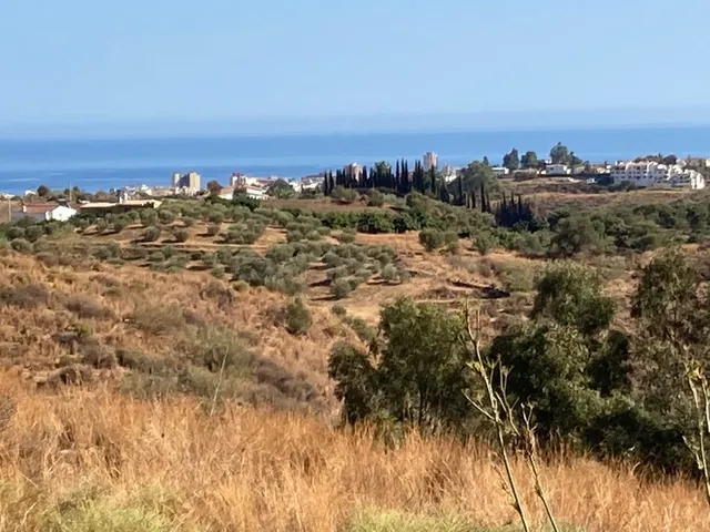 Parcela exclusiva 25.000 m2 en Mijas Costa del Sol - foto 4